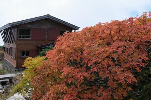 山小屋の裏の紅葉 山小屋の裏の紅葉の写真