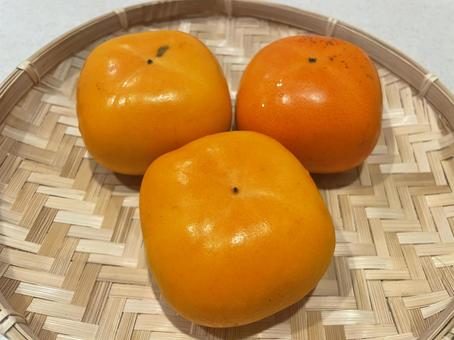 たねなし柿（和歌山県産）２６ 柿,たねなし柿,甘柿の写真素材