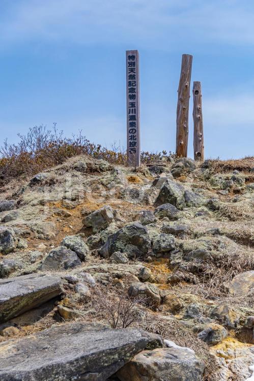 日本一の強酸性温泉　玉川温泉の北投石。 温泉,おんせん,湯の写真素材