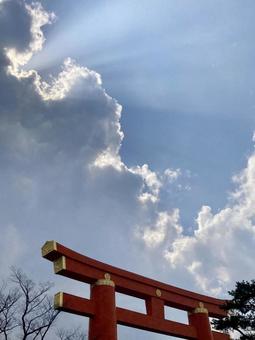 平安神宮の大鳥居 平安神宮の大鳥居 京都,冬,平安神宮の写真素材