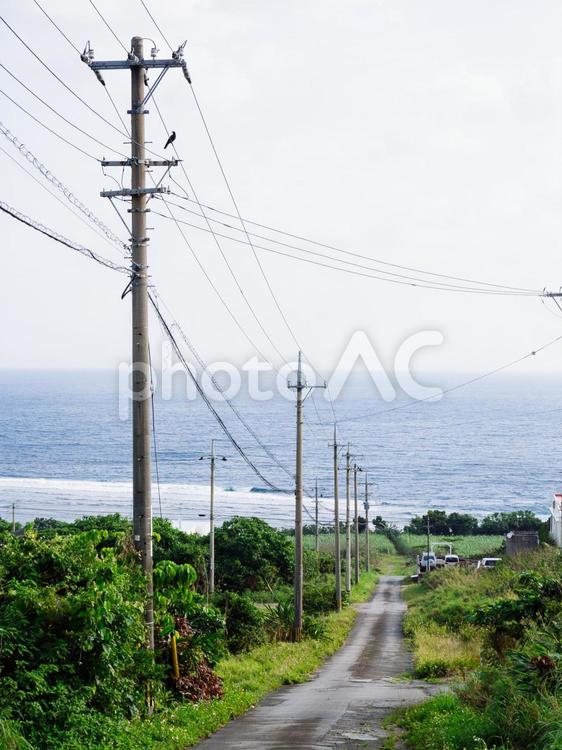 石垣島の風景 石垣島,八重山,八重山諸島の写真素材