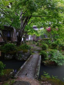 百済寺 百済寺 japan,寺院,仏閣の写真素材