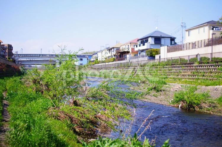 住宅地の身近な自然、春の小川 小川,川,青空の写真素材