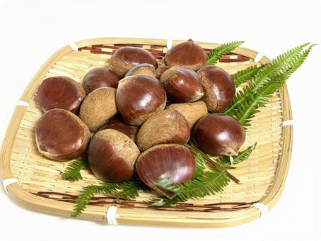 かご入りの栗 栗,木の実,食べ物の写真素材