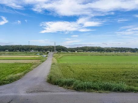 京成線車窓より 九月の佐倉市角来の田園 京成線車窓より 九月の佐倉市角来の田園の写真