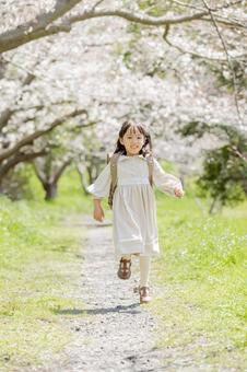 桜並木の下をスキップする新一年生 桜並木の下をスキップする新一年生 新一年生,一年生,ランドセルの写真素材