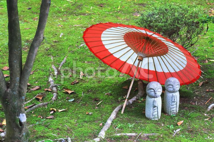 苔の上で雨宿りするお地蔵様 お地蔵様,苔,雨宿りの写真素材
