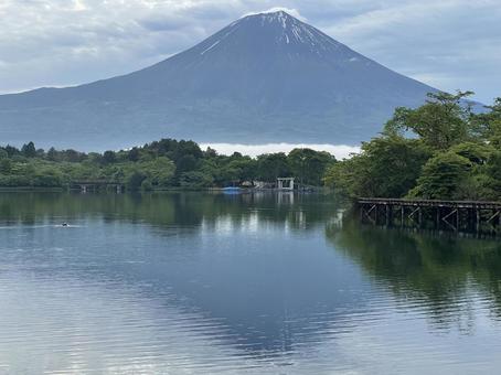 富士山と田貫湖 富士山と田貫湖 富士山,山,湖の写真素材
