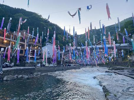 杖立温泉鯉のぼり祭り 杖立温泉鯉のぼり祭りの写真