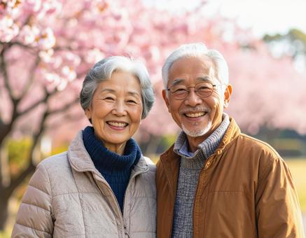 花見をする仲が良いシニアの上品な夫婦 花見をする仲が良いシニアの上品な夫婦の写真