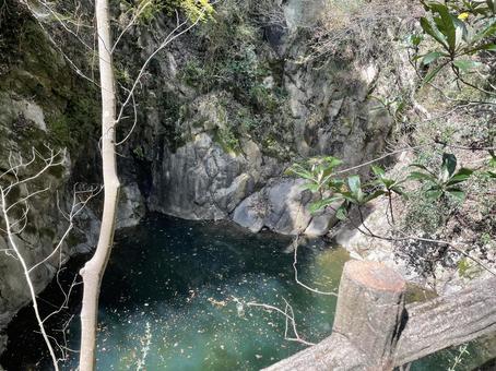 深淵の緑 深淵の緑の写真