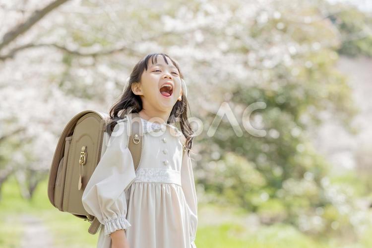 応援する可愛い新一年生 新一年生,一年生,応援の写真素材