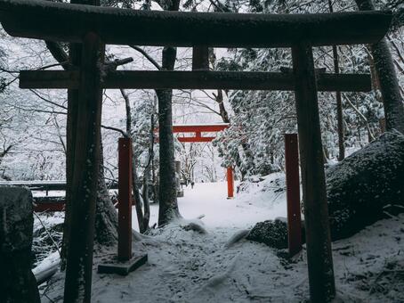 雪景色と神社の鳥居 雪,冬,鳥居の写真素材