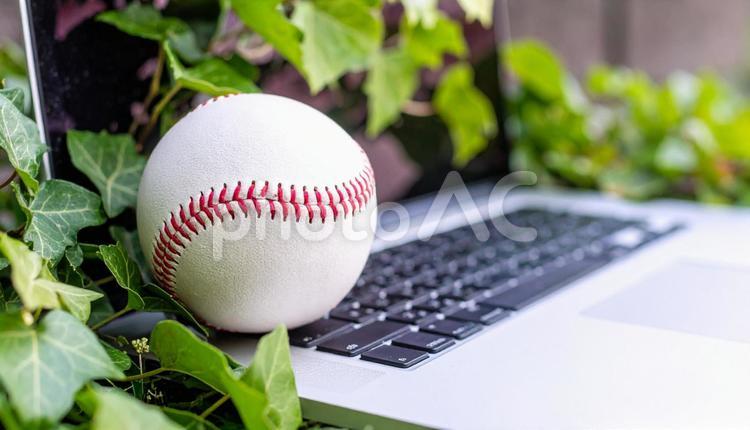 プロ野球のイメージ　パソコン　野球ボール 野球ボール,オンライン,オンデマンドの写真素材