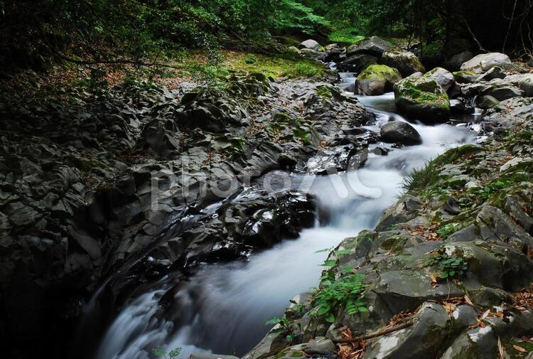 自然の中の植物の写真 滝,川,自然の写真素材