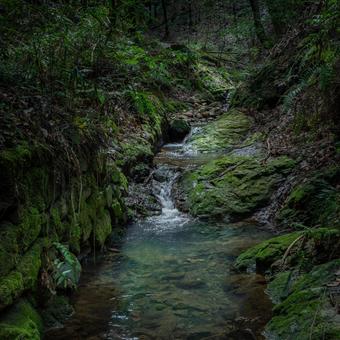 二上山の川 二上山の川の写真