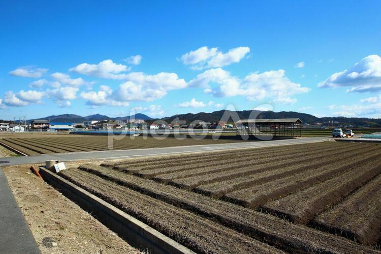 山と畑の風景２ 田舎,畑,田畑の写真素材