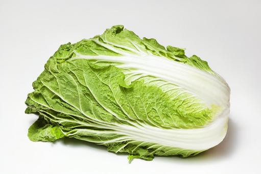 白菜5 白菜5 新鮮,野菜,生の写真素材