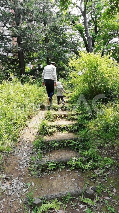 お揃いの服を着て山登りをするイクメンパパと子供 子供,親子,イクメンの写真素材
