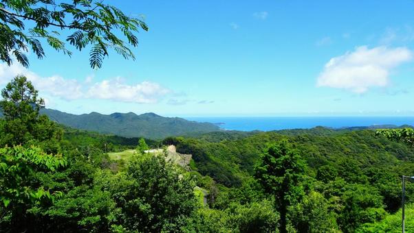 高台から見下ろす那智勝浦町の海 高台から見下ろす那智勝浦町の海 自然,緑,田舎の写真素材