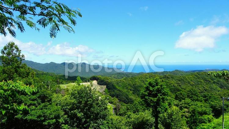 高台から見下ろす那智勝浦町の海  自然,緑,田舎の写真素材
