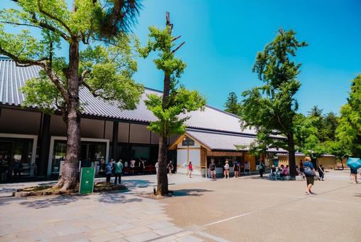 Photo, nara, temple, 2025, 