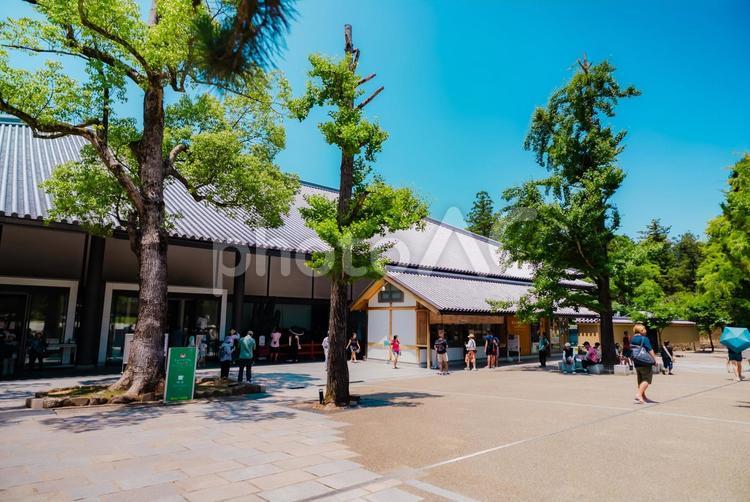 【奈良】奈良のお寺巡り 2025 奈良,お寺,2025の写真素材