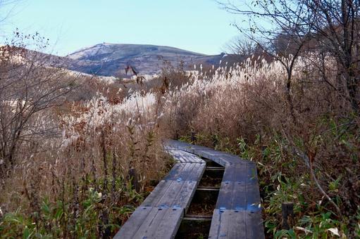 秋の八島湿原 高原,草原,湿原の写真素材