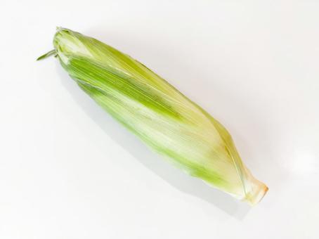 とうもろこし とうもろこし とうもろこし,野菜,食べ物の写真素材