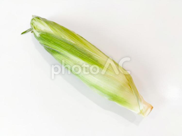 とうもろこし とうもろこし,野菜,食べ物の写真素材