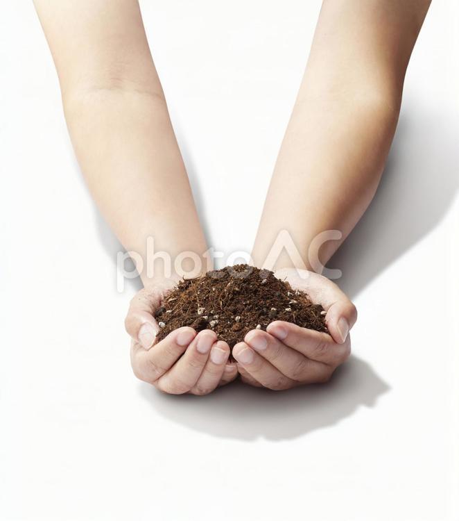手のひらの中の大地　成長イメージ 手のひら,土,栄養の写真素材