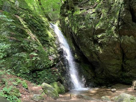深い森に佇む落差ある滝と清流の景観 滝,水流,落差の写真素材