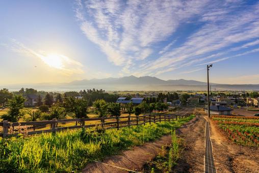 早朝の中富良野町の写真