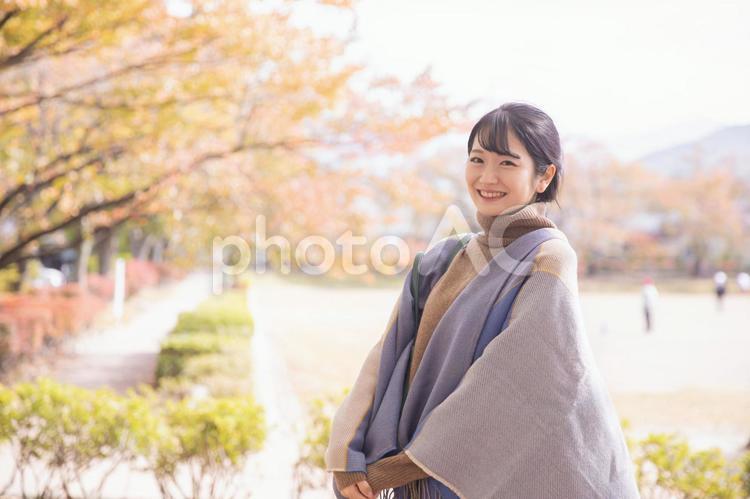 秋の公園にたたずむ女性 秋,紅葉,女性の写真素材