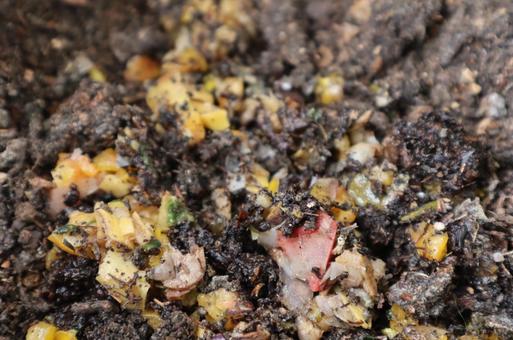 コンポストに入れた野菜くずなど コンポストに入れた野菜くずなど コンポスト,compost,生ゴミの写真素材