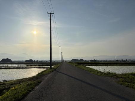 田んぼ道 田んぼ道 田んぼ,道,水田の写真素材