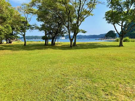 夏山園地 夏の海岸公園 夏山園地 夏の海岸公園 風景,晴れ,芝生広場の写真素材