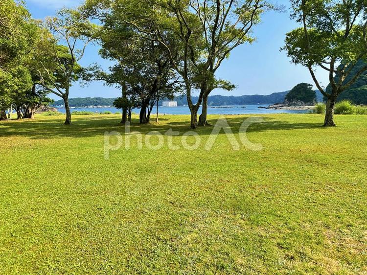 夏山園地　夏の海岸公園 風景,晴れ,芝生広場の写真素材