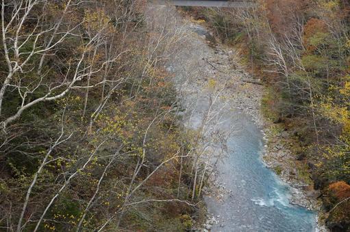 白髭の滝 白髭の滝の写真