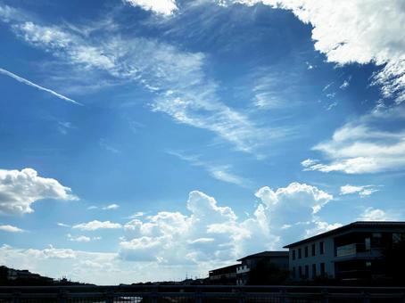 青空 青空の写真