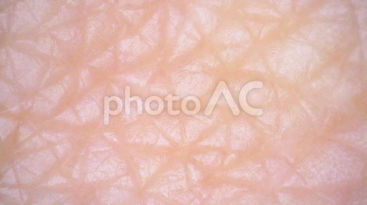 肌　皮膚　アップ 皮膚,肌,アップの写真素材