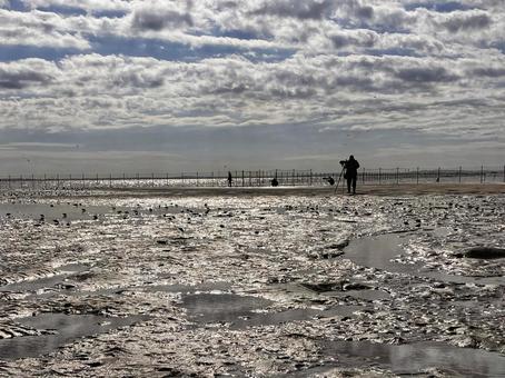 ふなばし三番瀬海浜公園13 海浜公園,干潟,秋空の写真素材