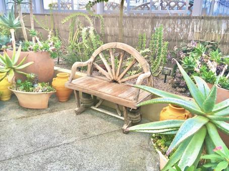 浜松フラワーパーク 浜松フラワーパーク 浜松フラワーパーク,植物園,多肉植物の写真素材