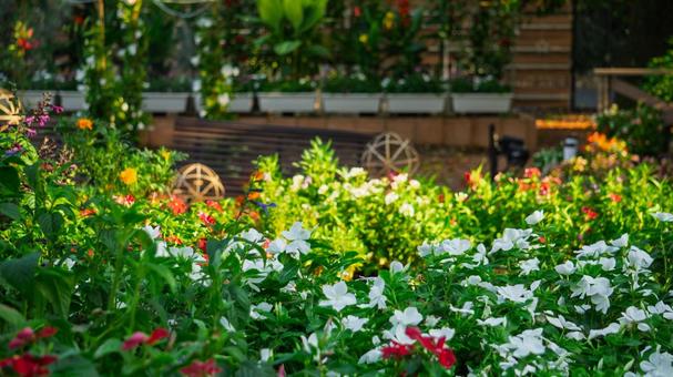 緑と花が豊かな庭の風景 緑と花が豊かな庭の風景の写真