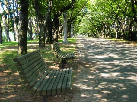 公園のベンチ 公園のベンチの写真