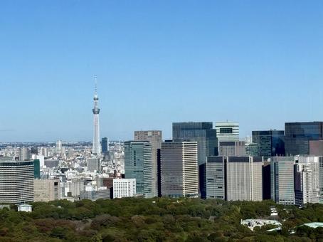 皇居丸の内越しのスカイツリー 皇居,丸の内,スカイツリーの写真素材