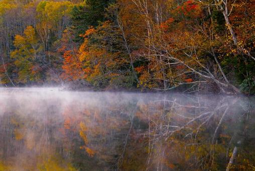 オンネトーの紅葉 オンネトーの紅葉 オンネトーの紅葉,オンネトー,紅葉の写真素材