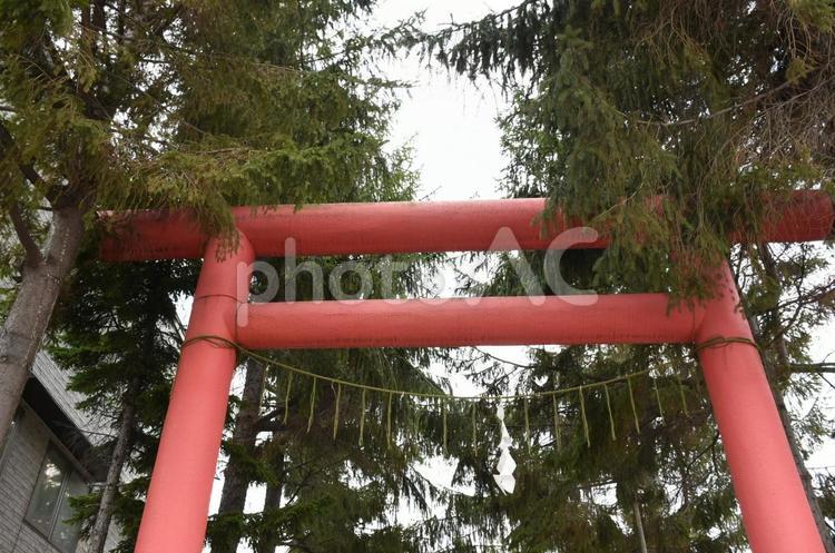 小樽の潮見ヶ岡神社② 冬,風景,雪の写真素材