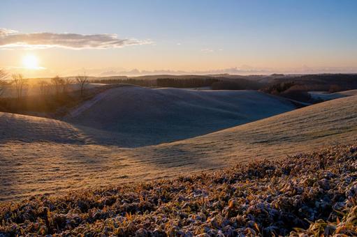 霜降る早朝の丘に金色に輝く日の出 丘,牧草地,霜の写真素材
