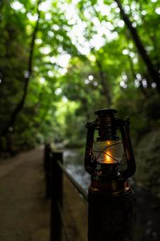 森の中を流れる川とアンティークランタン 森の中を流れる川とアンティークランタン ランタン,カンテラ,グランピングの写真素材